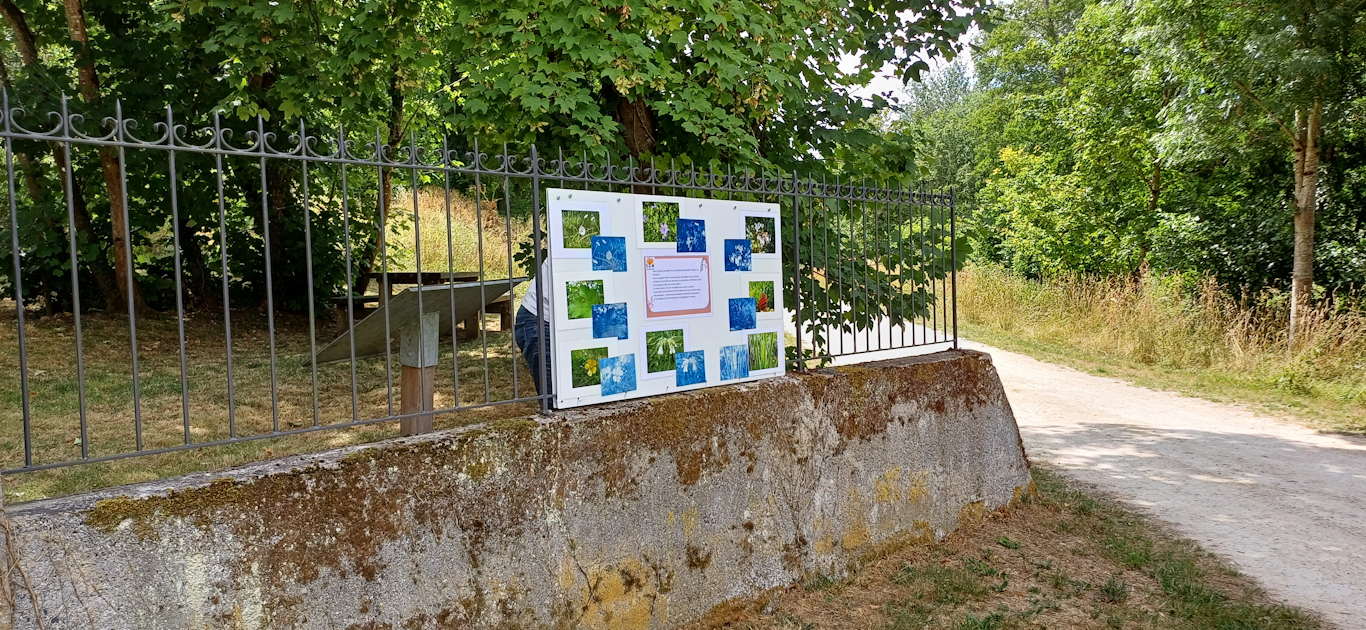 Vue d'ensemble de l'exposition